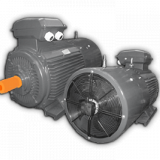 110/1000 АДЧР 315S6У2 исп 2081 эл. двигатель